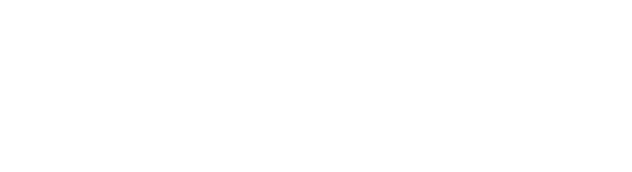 Fit Mastery Sphere